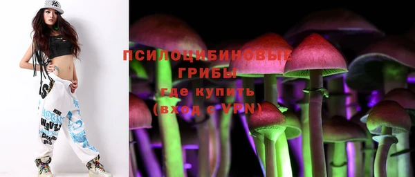 трава Осинники
