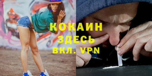 трава Осинники