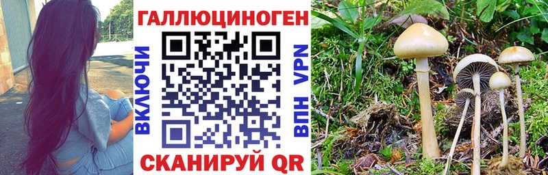 blacksprut как войти  Шарыпово  Галлюциногенные грибы MAGIC MUSHROOMS 