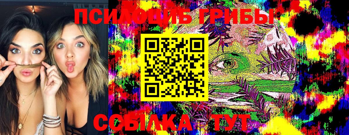 Галлюциногенные грибы Psilocybine cubensis  Шарыпово 