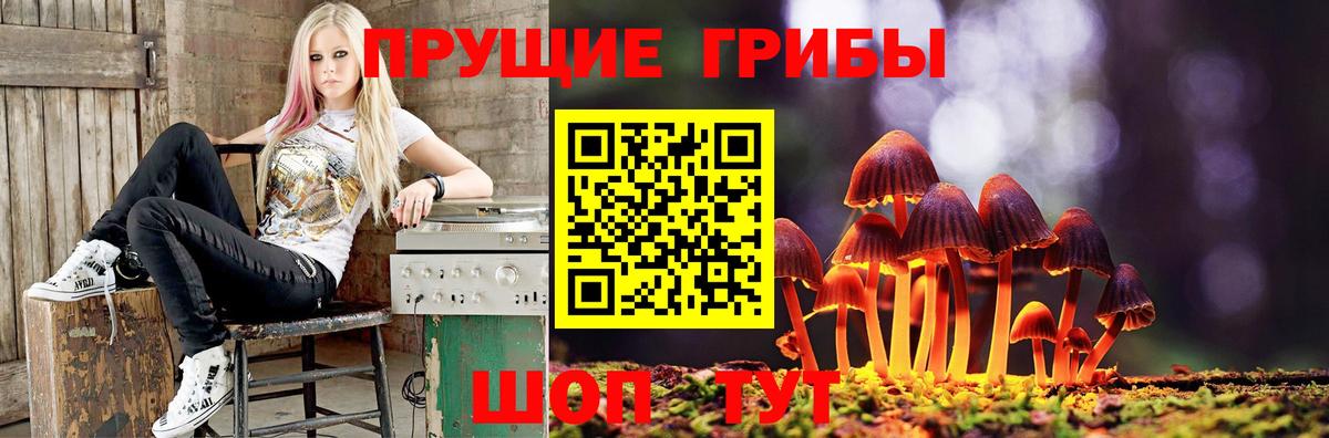 Шарыпово  Галлюциногенные грибы мухоморы  Вход с VPN 